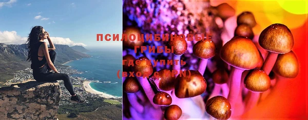 дмт Приозерск